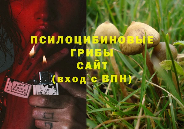 дживик Балабаново
