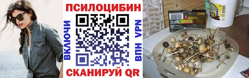 Псилоцибиновые грибы Psilocybe  Купить  Новая Ляля 